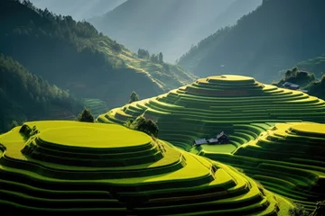Poster Rice fields on terraced of Mu Cang Chai, Vietnam, Terraced rice field in harvest season in Mu Cang, AI Generated © Iftikhar alam
