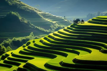 Selbstklebende Fototapeten Rice fields on terraced of Mu Cang Chai, Vietnam, Terraced rice field in harvest season in Mu Cang, AI Generated © Iftikhar alam