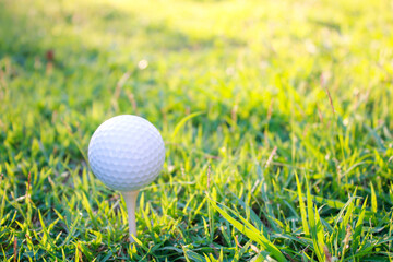 Golf balls and tees placed on the grass.