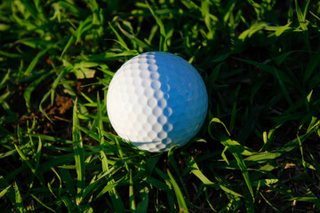 Obstacles in playing golf The golf ball fell in the long grass.