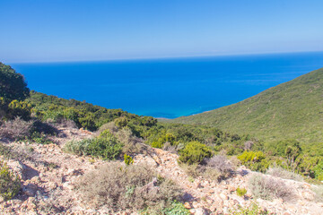 Fototapeta na wymiar Nature's Paradise, Cap Negro, where Sea, Forest, and Mountains Converge in Northwest Tunisia