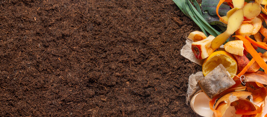 organic compost - biodegradable kitchen waste and soil