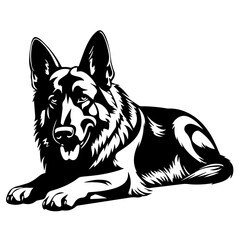  Relaxed Lying German Shepherd Vector Illustration