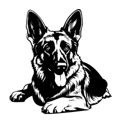  Relaxed Lying German Shepherd Vector Illustration