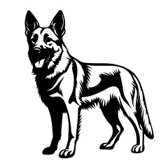 Noble Standing German Shepherd Vector Illustration