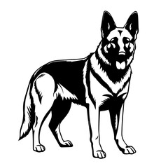 Noble Standing German Shepherd Vector Illustration