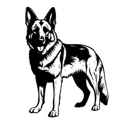 Noble Standing German Shepherd Vector Illustration