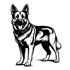 Noble Standing German Shepherd Vector Illustration