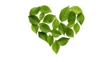 Heart shape made out of realistic natural leaves isolated background