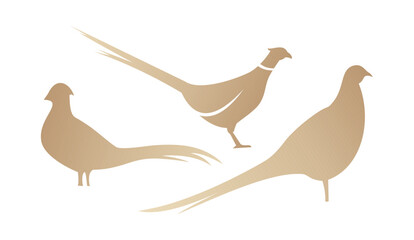 Pheasant flat silhouette icon bird isolated
