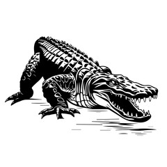 Alligator Vector Illustration