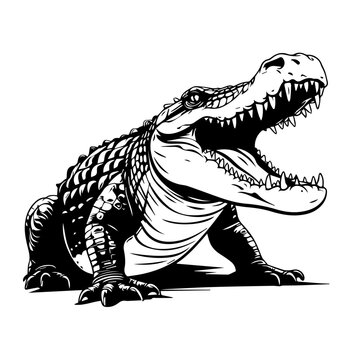 Alligator Vector Illustration