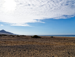 Fototapeta na wymiar Fuerteventura - Playa de Cofete Canary Islands Spain