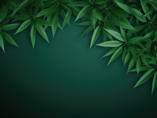 Fototapeta na wymiar Green bamboo leaves on dark green background.