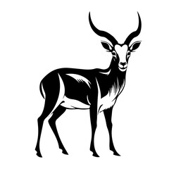 Graceful Antelope Vector Illustration