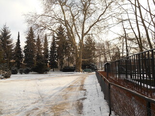 Park in winter with snow