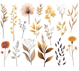 Top view / flat lay collection / set of watercolor flowers, buds, and leaves isolated on a white background for use in a floral garden or summertime design project.