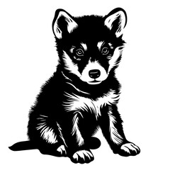 Playful Baby Wolf Vector Illustration