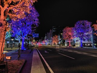 クリスマスイルミネーション　ライトアップ
