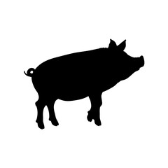 pig silhouette - vector illustration