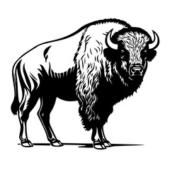 Majestic Buffalo Vector Illustration