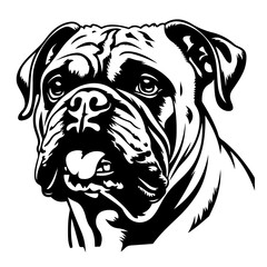 Adorable Bulldog Vector Illustration