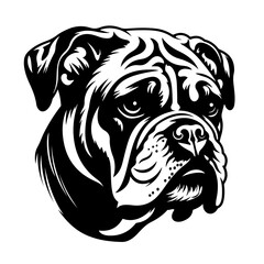 Adorable Bulldog Vector Illustration