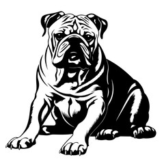 Adorable Bulldog Vector Illustration