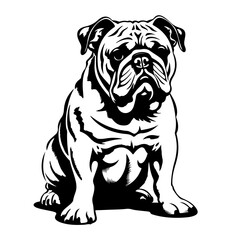 Adorable Bulldog Vector Illustration