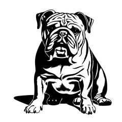 Adorable Bulldog Vector Illustration