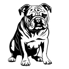 Adorable Bulldog Vector Illustration