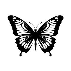  Delicate Butterfly Vector Illustration