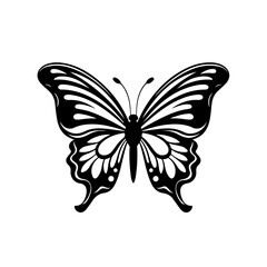  Delicate Butterfly Vector Illustration