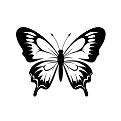  Delicate Butterfly Vector Illustration
