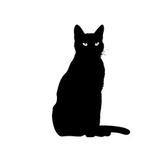 Graceful Cat Vector Illustration