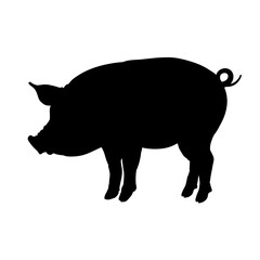 pig silhouette - vector illustration
