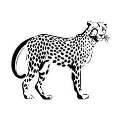 Swift Cheetah Vector Illustration