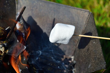 キャンプ場でのマシュマロ
