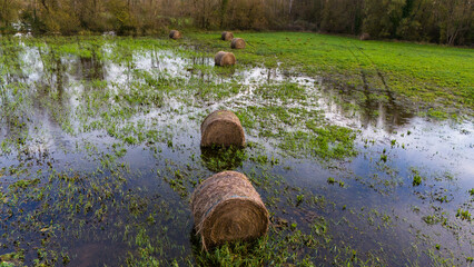 Flooded Meadow with Submerged Hay Bales