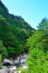 Obraz premium 阿寺渓谷（長野県）