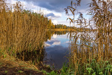 Autumn landscape by the lake, yellow grass, orange leaves falling from the trees