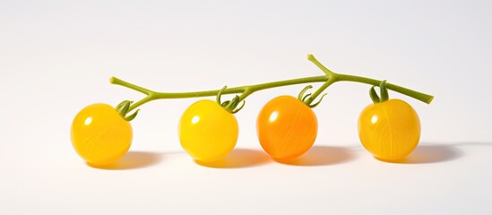 In an isolated white background, two little ripe cherry tomatoes stand vibrant and yellow, casting delicate shadows in their presence.