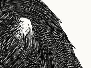 A Black And White Drawing Of A Tail - a closeup of an eye