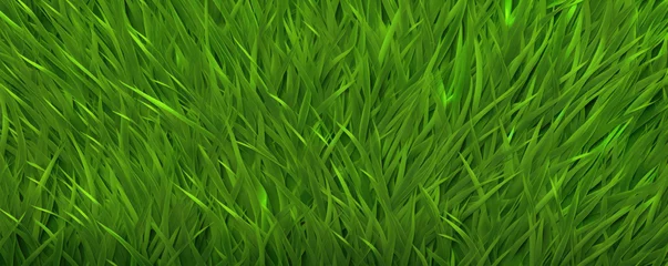 Foto op Aluminium Green grass top view.  Grass or lawn wide banner or panorama photo © Michal