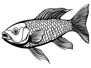 A Black And White Drawing Of A Fish - Carp fish cartoon. Vector illustration.