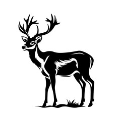 Graceful Deer Vector Illustration