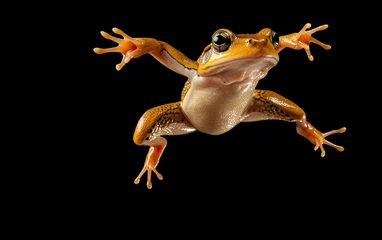 Poster Tree frog jumping isolated on black background © GulArt