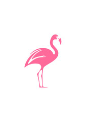 Tropical Flamingo Vector Illustration