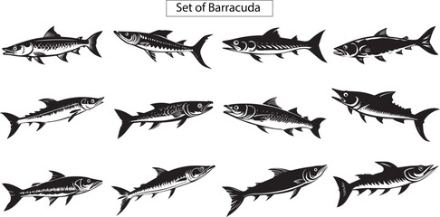 Set of silhouettes of Barracuda fish