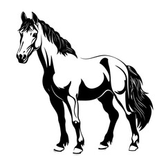 Obraz na płótnie Canvas Graceful Horse Vector Illustration